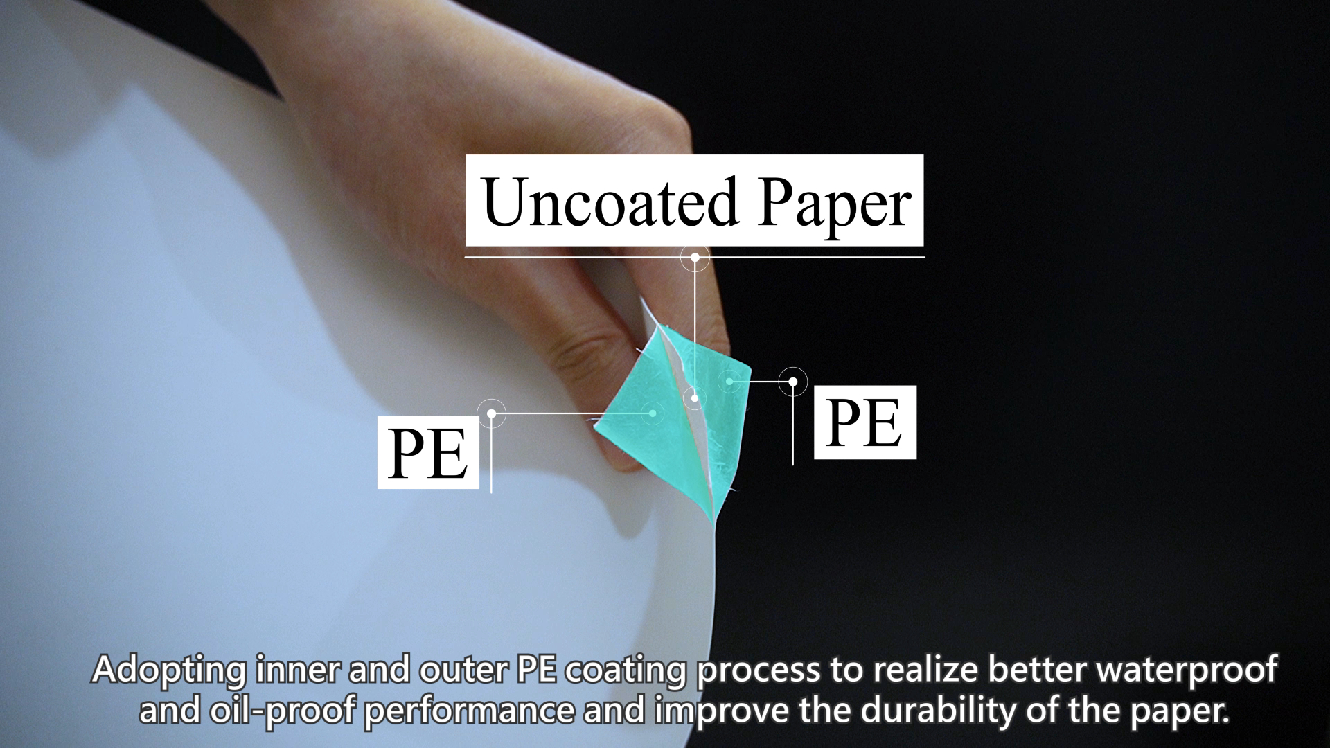 What is the difference between single PE coated paper cups and double PE coated paper cups?