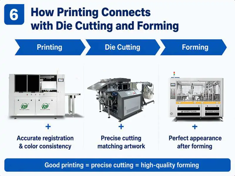 Paper cup production workflow: printing, die cutting, forming, explains the linkage between each process and the importance of precise print positioning
