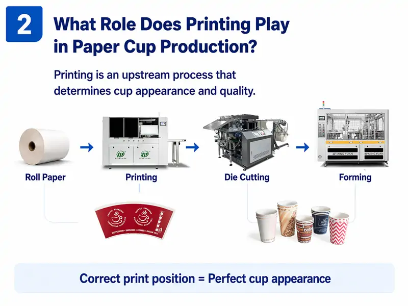 Infographic showing paper cup manufacturing workflow: roll paper → printing → die cutting → forming, explaining the important role of printing in paper cup appearance and quality, Mingyuan paper cup printing and forming machines